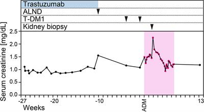 Case Report: Collapsing Focal Segmental Glomerulosclerosis After Initiation of Ado-Trastuzumab Emtansine Therapy